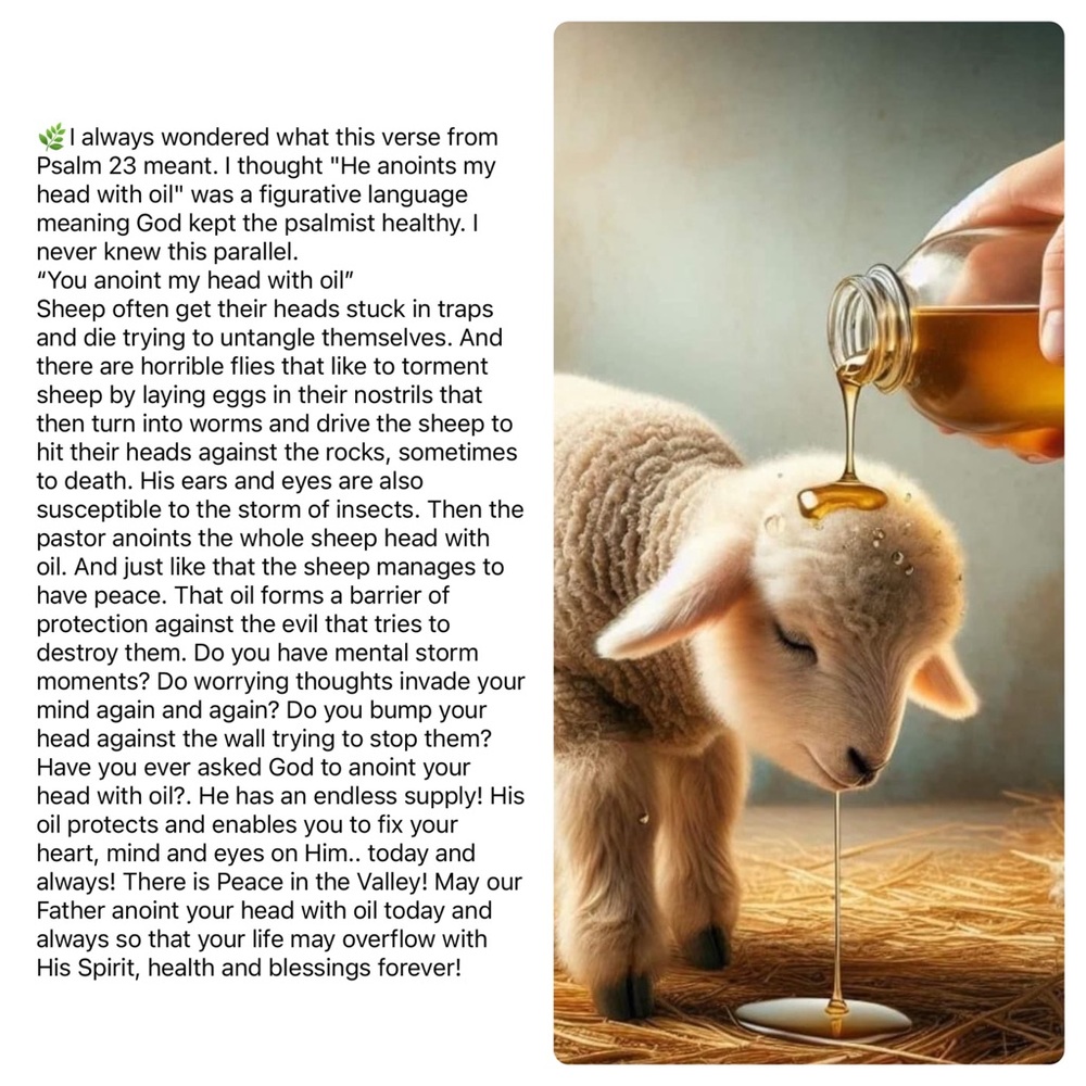 Come See My Closet!😊 - Picture 8 of 11